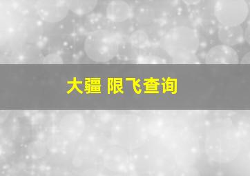 大疆 限飞查询